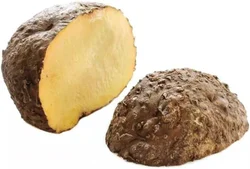 NDA9 Elephant Yam (Suran / Jimikand)